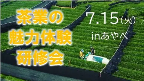 茶業の魅力体験研修会の参加者を募集します！