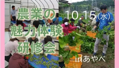 「農業の魅力体験研修会」を開催します！