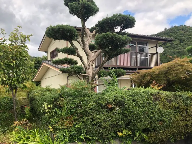 No.532八木町日置の物件