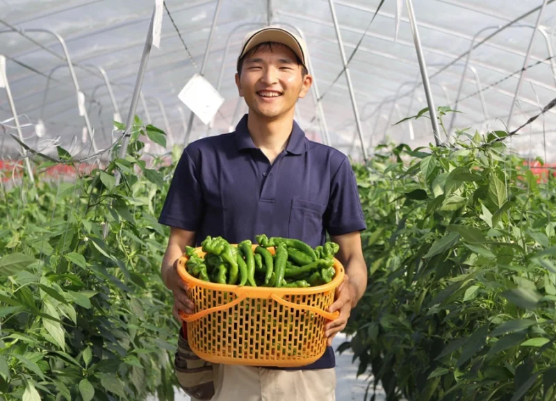 京野菜の師匠の教えを力に　目指すは笑顔育てるニコニコ農園