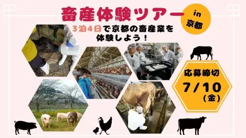 畜産体験ツアー～３泊４日で京都の畜産業を体験しよう！～