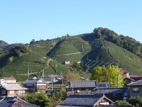 和束町中和束地区