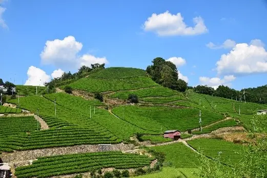 和束町西和束地区