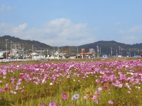 宮津市日置地区