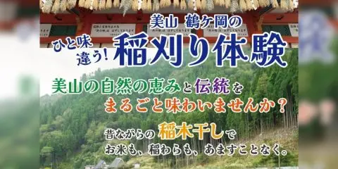 【参加者募集！】ひと味違う！美山鶴ヶ岡の稲刈り体験